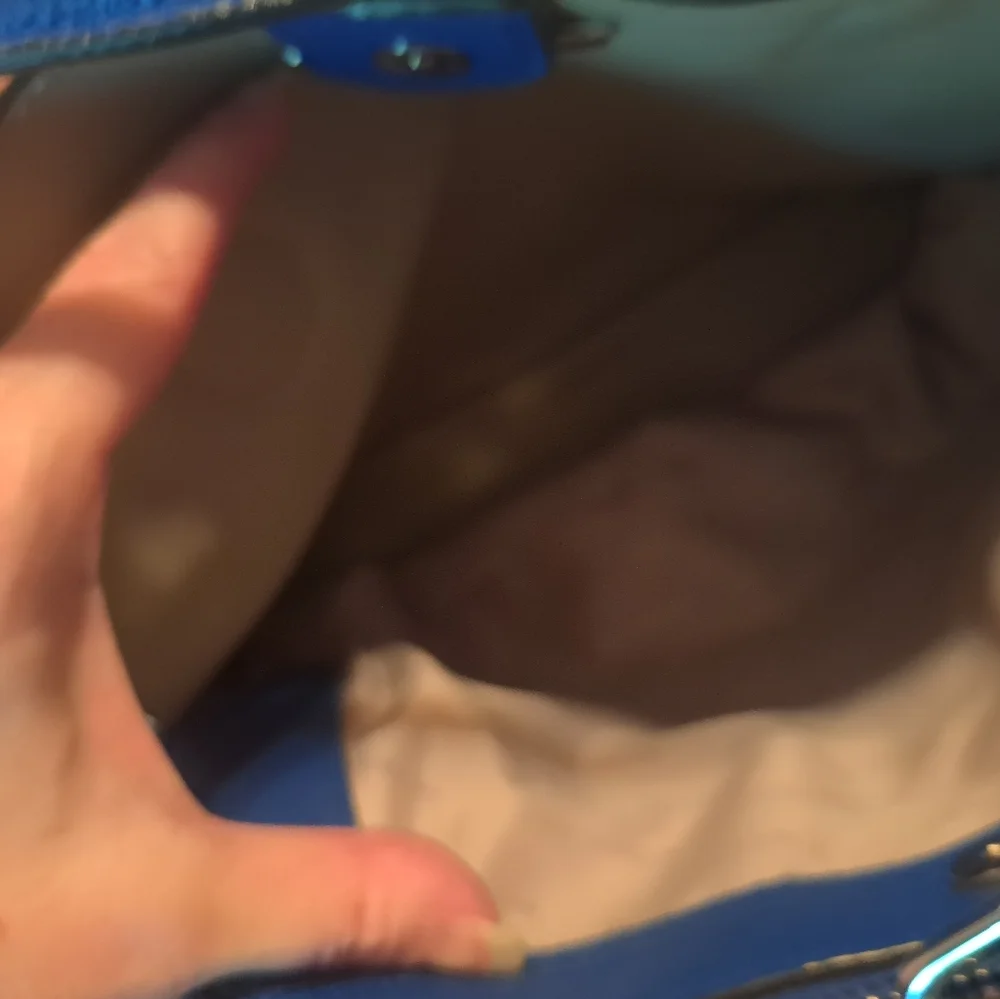 Michael Kors Blue Bag